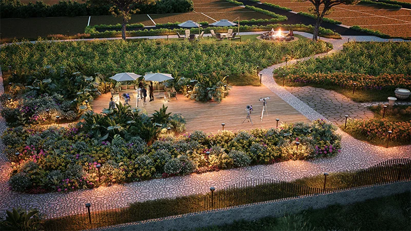 Wellness amenities